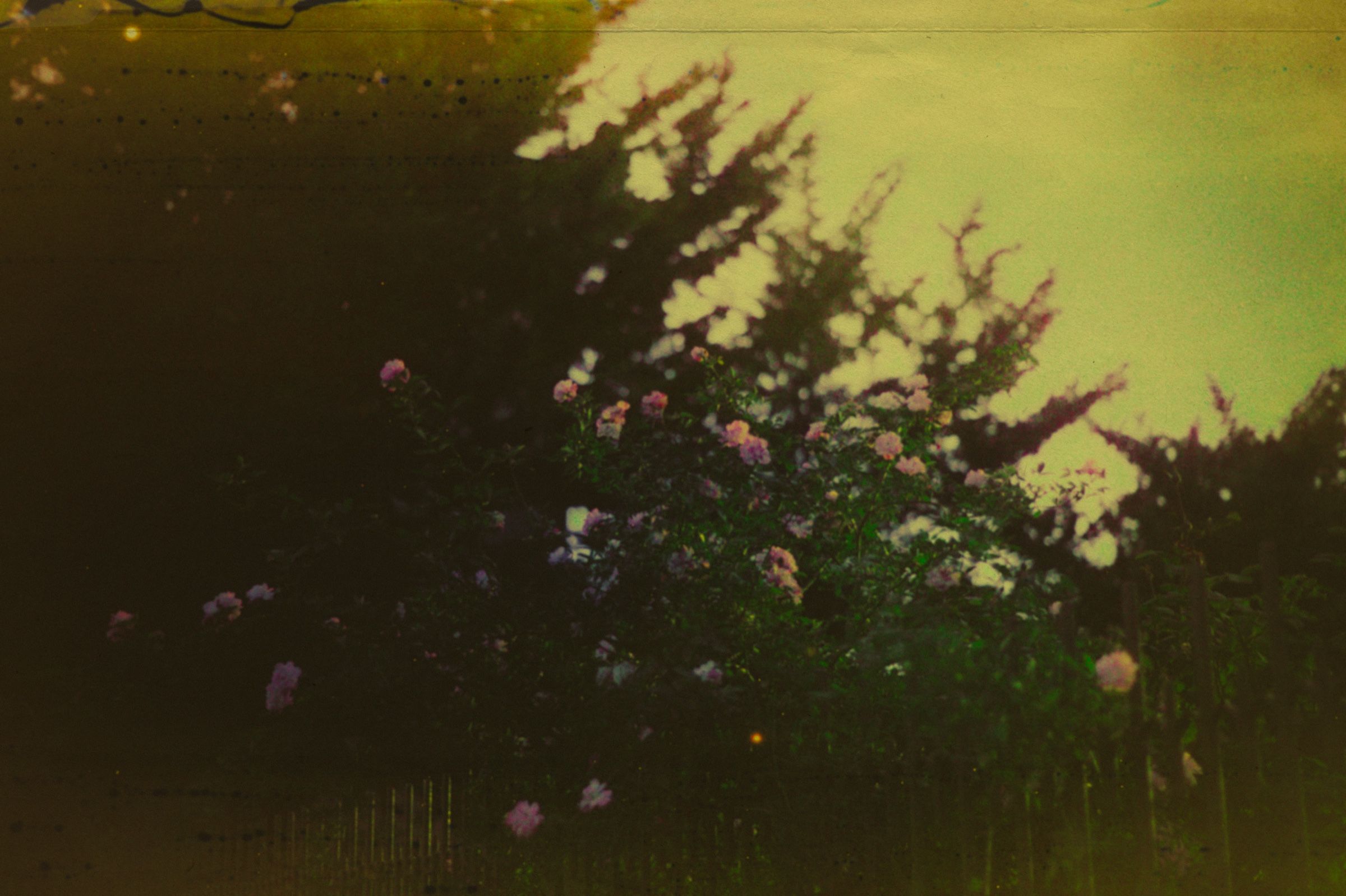 After the Weather