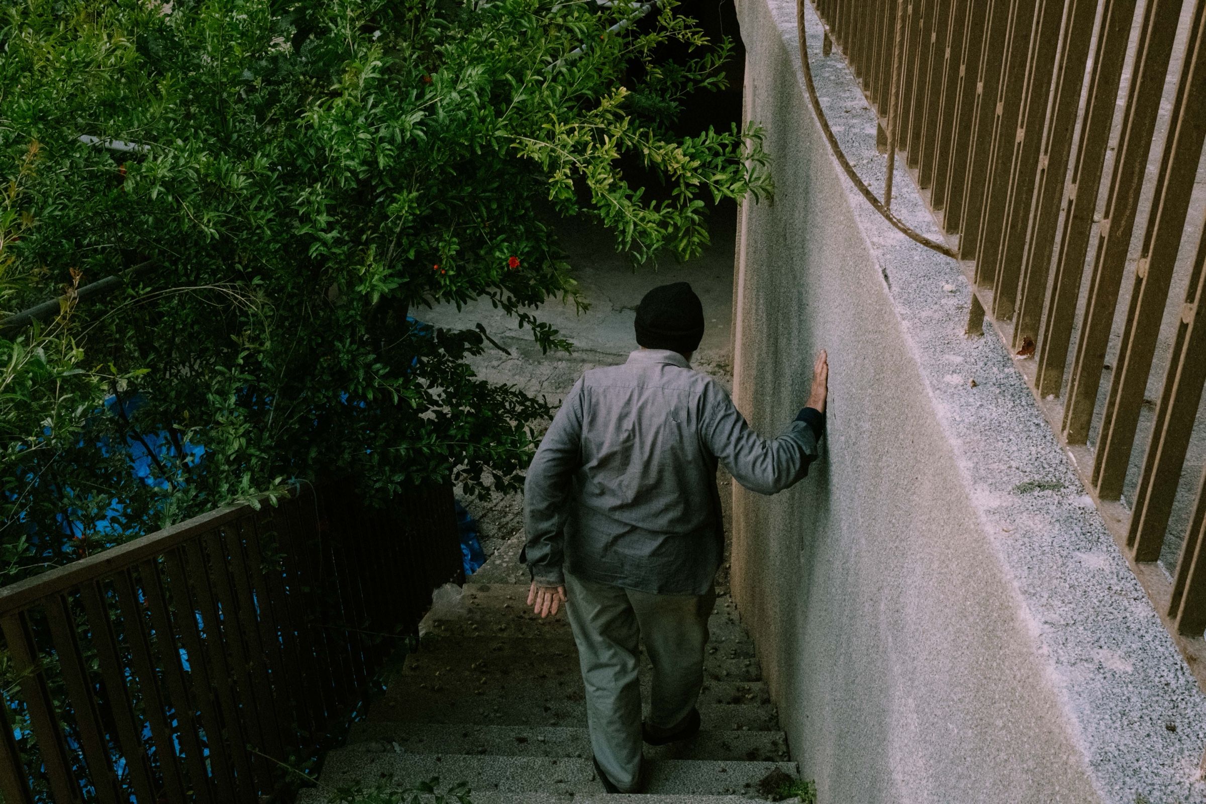 My father’s uncle, walking down the stairs, leading me to the first mulberry tree, 2025.