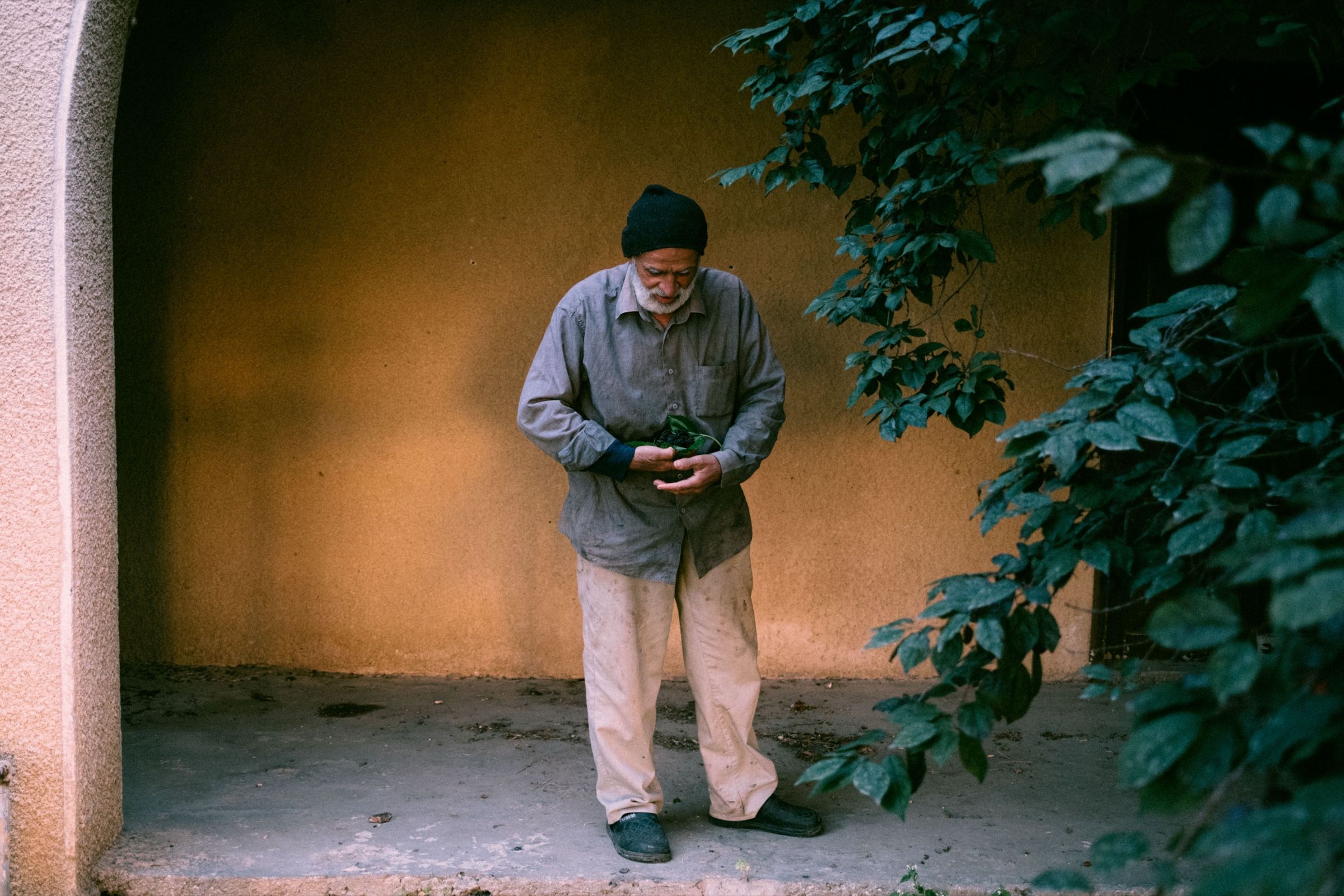 Khalil with a mulberry leaf — The Season of the Mulberry