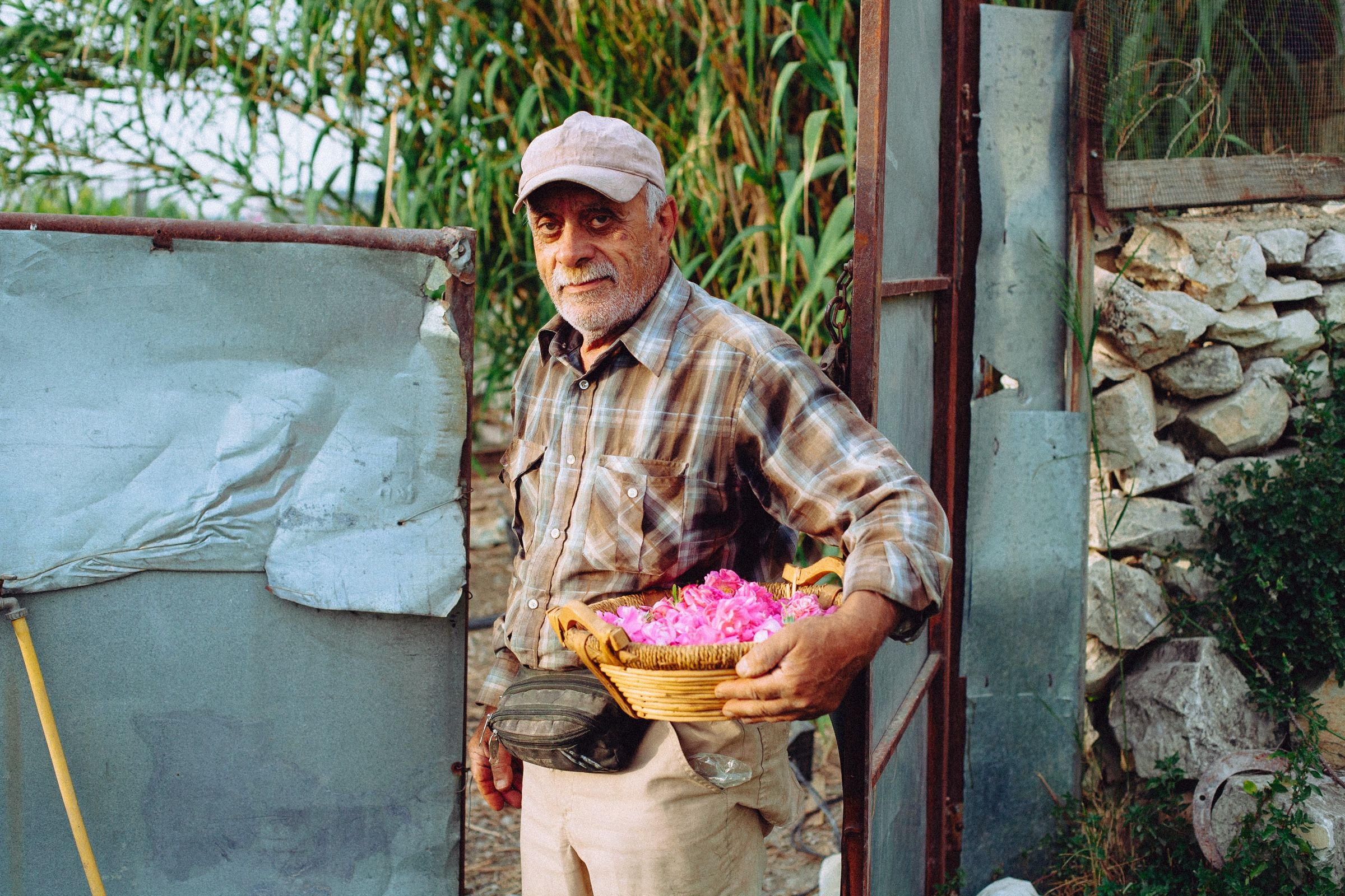 Anis stops in the gateway with the basket of roses held against his hip, and looks back at me.