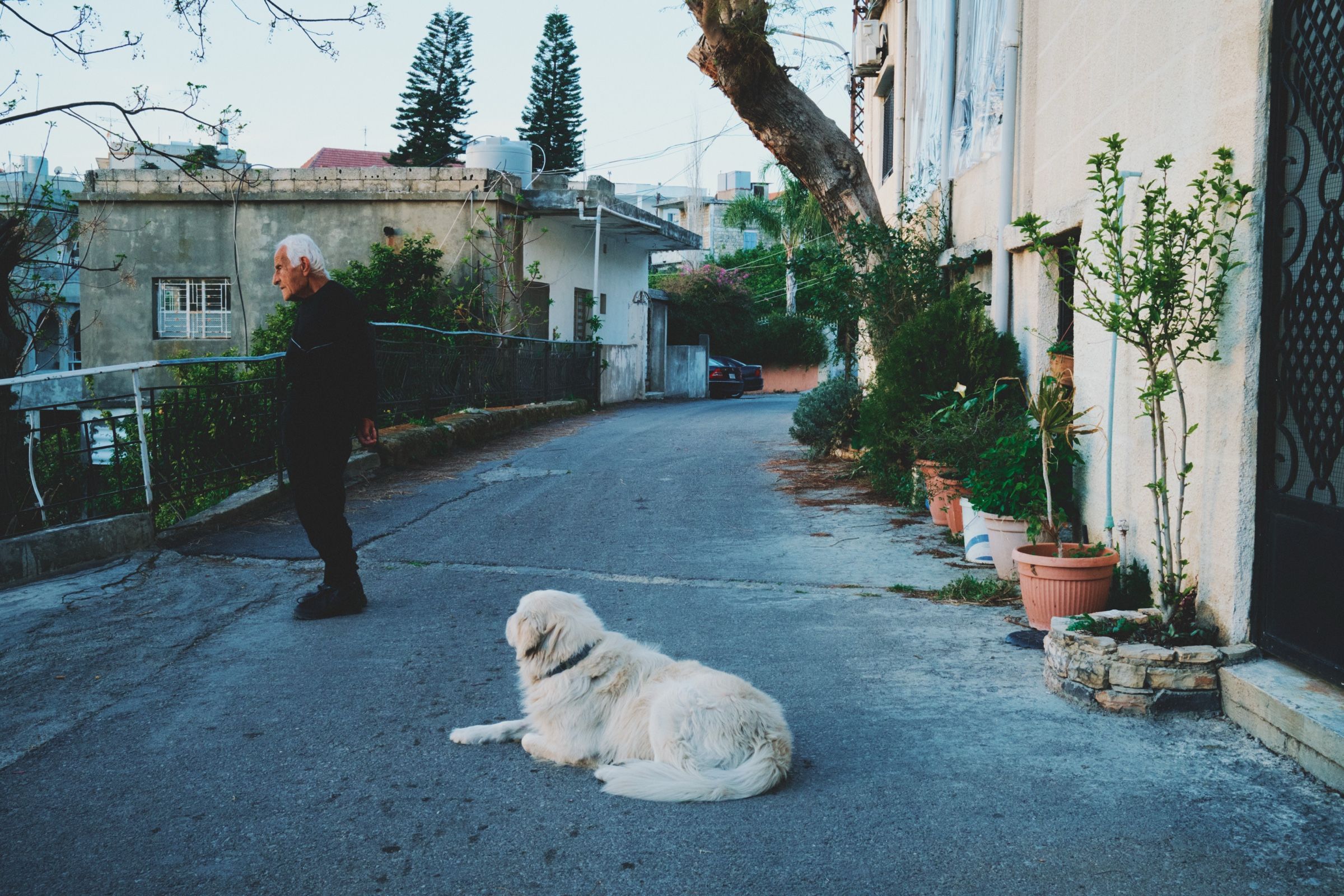 Salam, one of the oldest residents of the village, pauses during a walk as the neighbor’s dog sits nearby. The town of Joun, Lebanon, 2025.