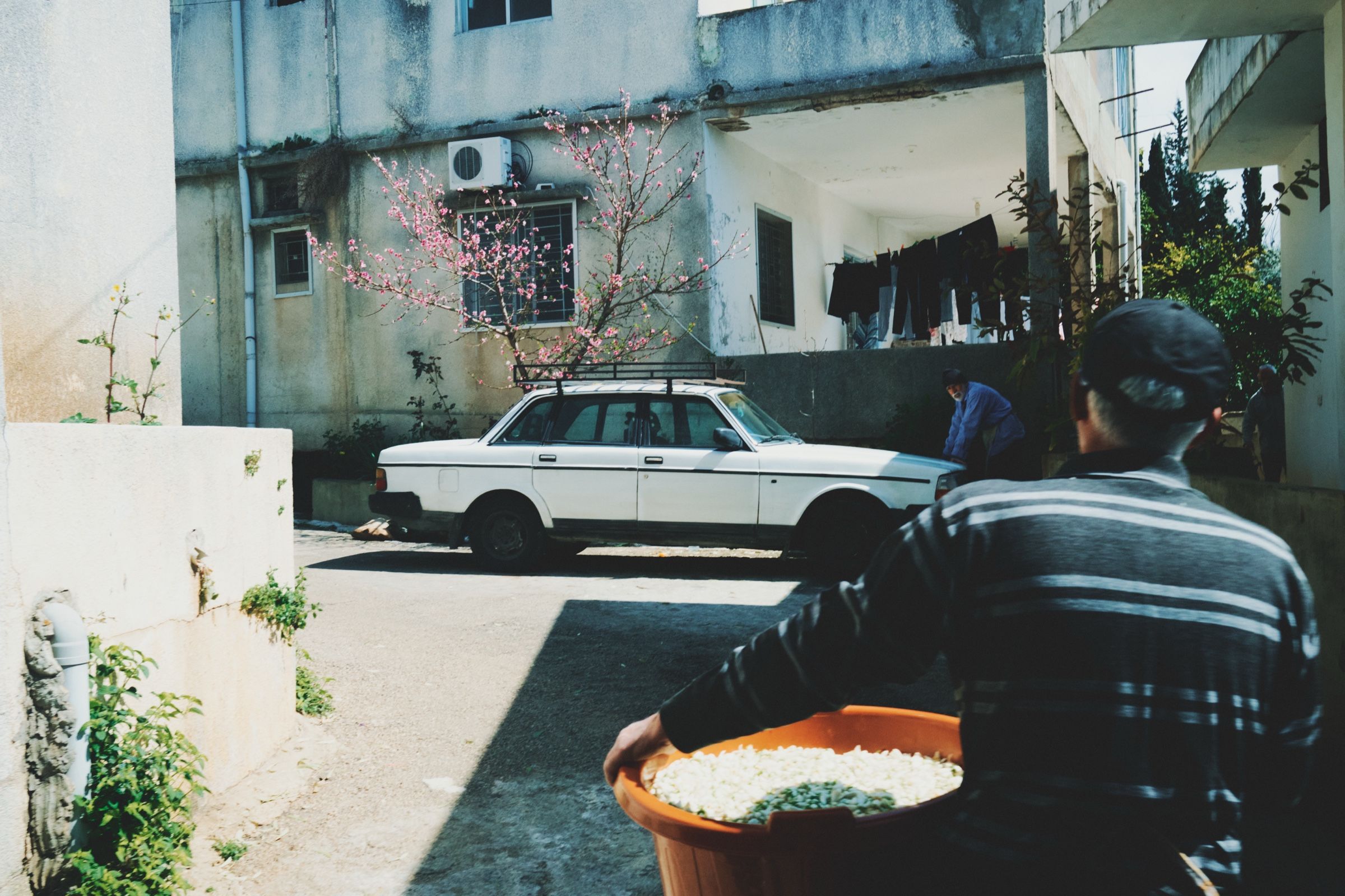 Reda and Khalil, orange blossom — Before It Disappears