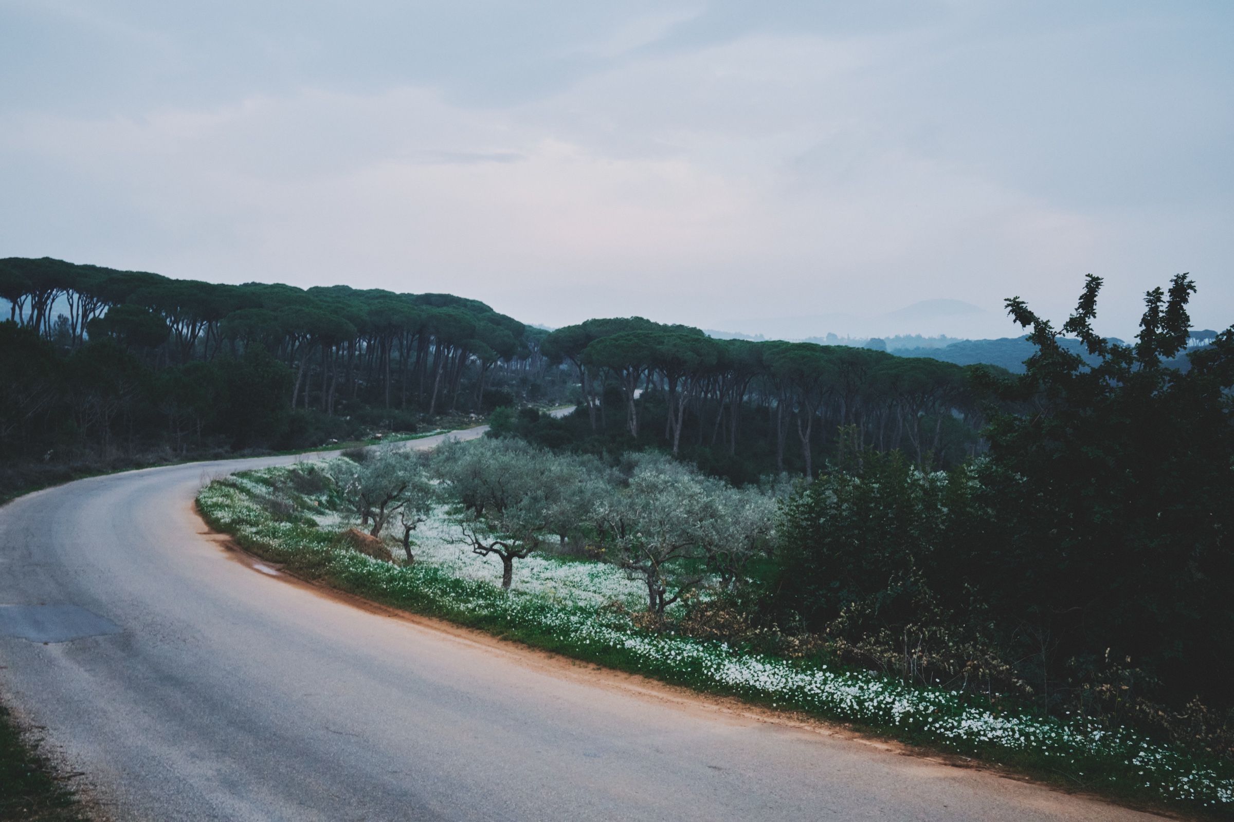 The quiet road at Joun's edge — Before It Disappears