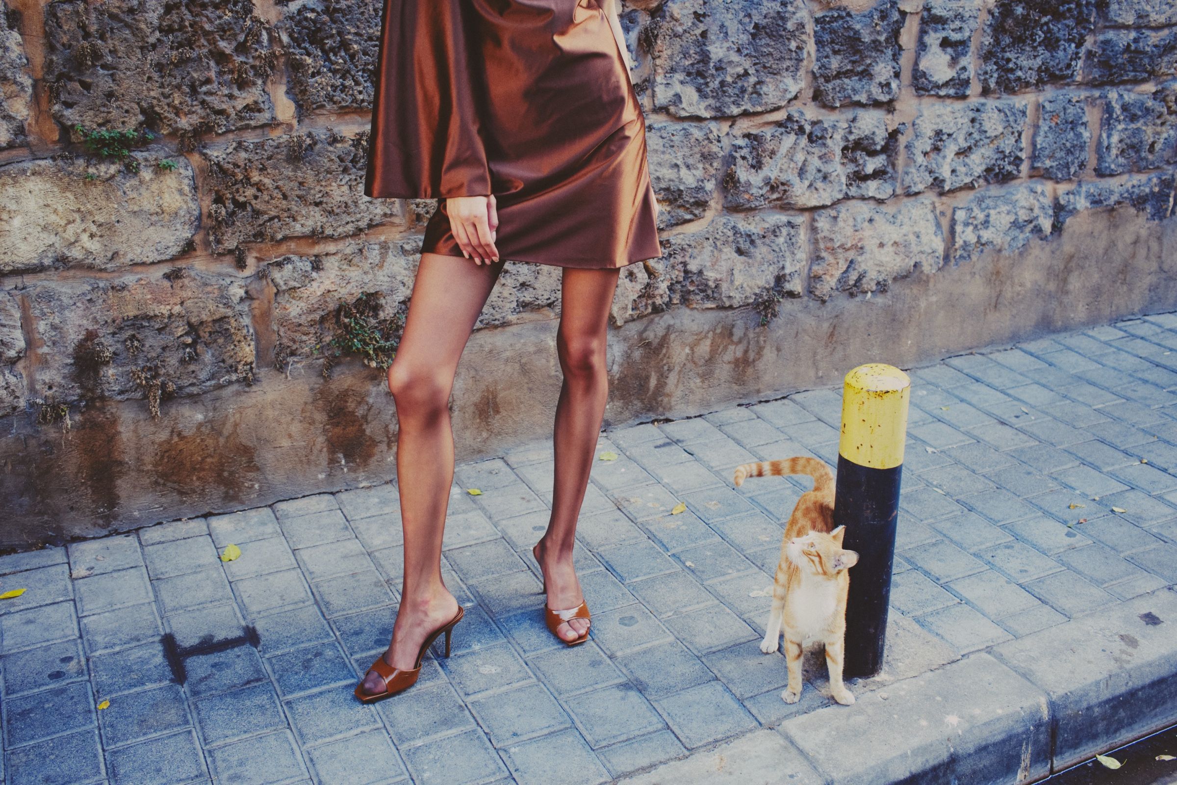 Cropped below the waist, a model's legs in a copper satin dress and tan mules, a ginger cat rubbing a bollard beside her.