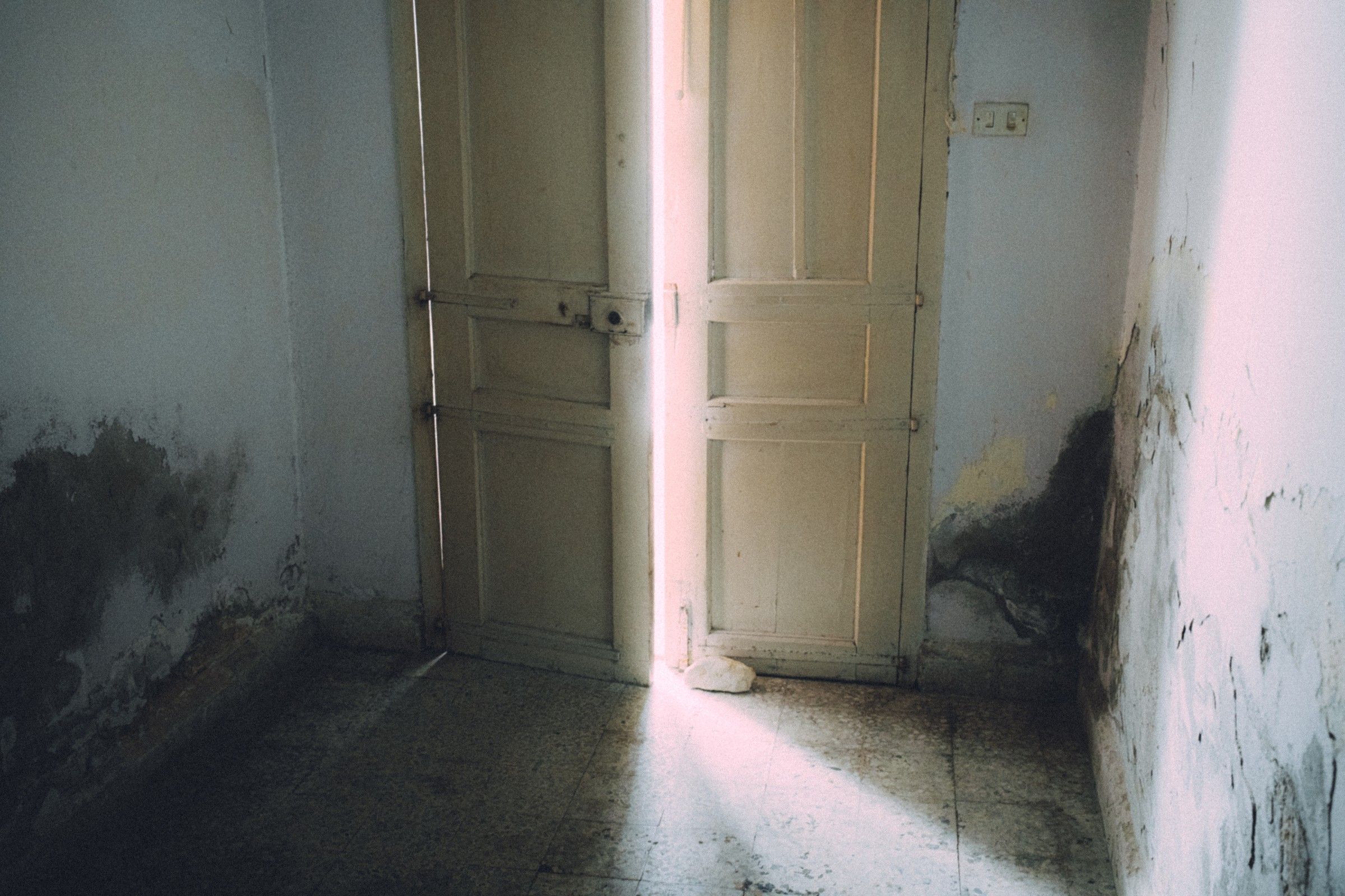 What Light Knows About Us